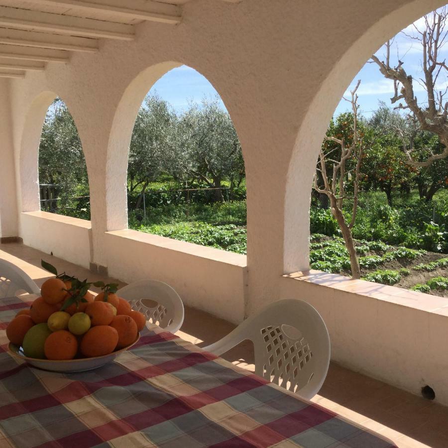El Cortijo De La Abuela Guest House Benahadux Exterior photo